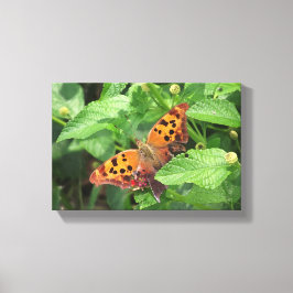 Fråga Mark Butterfly från Lantana Wrapped Canvas