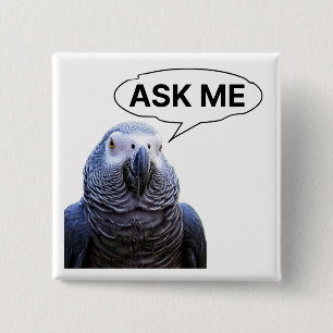 Fråga mig - knappen Grått Parrot Guide Knapp