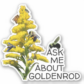 Fråga mig om Goldenrod och pollinerare Klistermärken