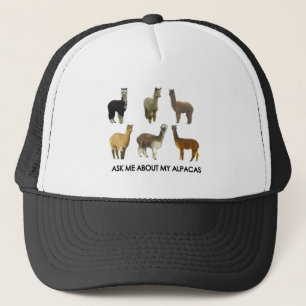 Fråga mig om min alpacas truckerkeps