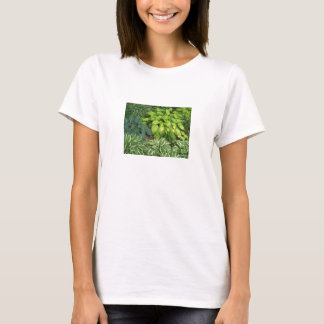 Fråga mig om min hosta-kvinnas tee