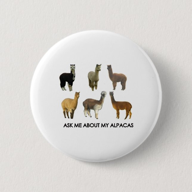 Fråga mig om mina alpacas knapp (Framsida)