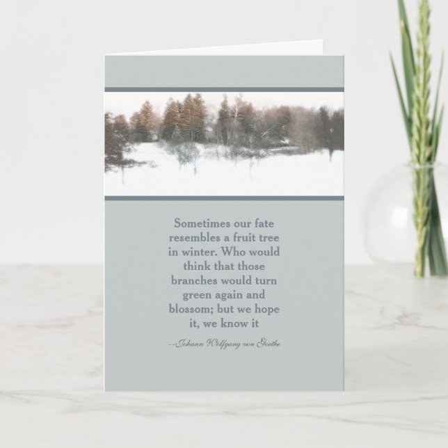 FRÅGA OM FÖRÄNDRING AV SEASONER OCH HOPE/WINTER-SC KORT (Framsida)