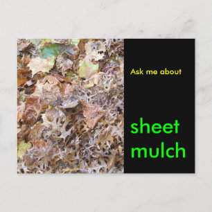 Fråga om, lakan-mulch vykort