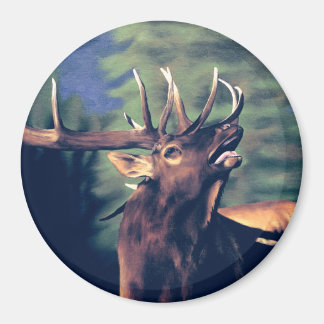 Fråga samtal magnet