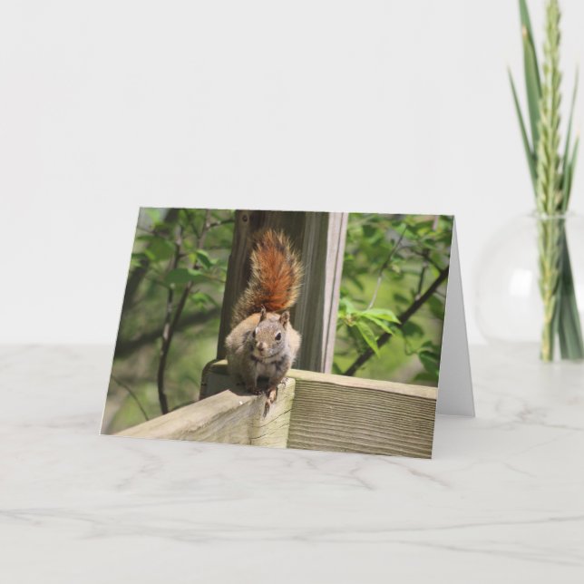 Frågevarokort Kort (Framsida)