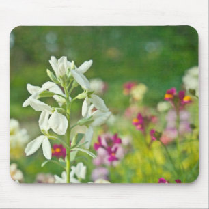 Fragrance Garden Musmatta