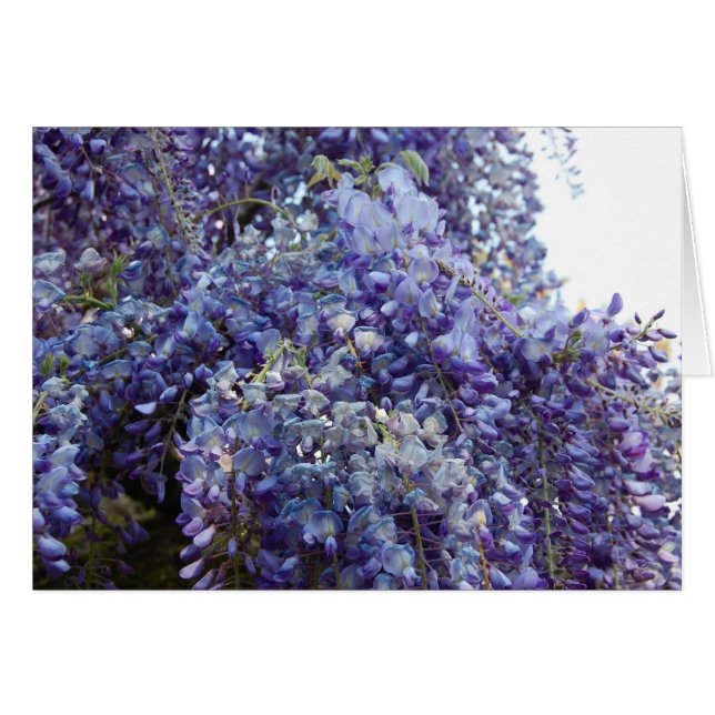 Fragrance in Blue Hälsningskort (Framsidan Horizontal)