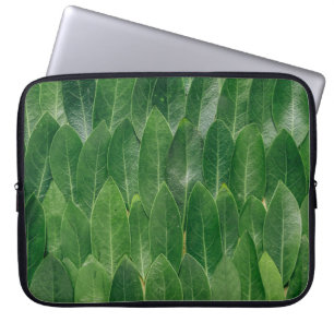 FRAGRANT BAY LÖV GROVE ON STOR DECIDUÖUS TRÄD LAPTOP FODRAL