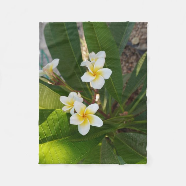Fragrant Frangipani Flowers Fleecefilt (Framsidan)