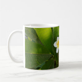 Fragrant Frangipani Flowers Kaffemugg