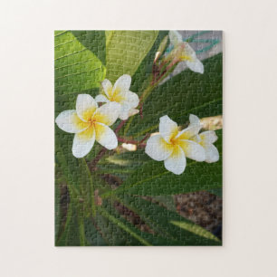 Fragrant Frangipani Flowers Pussel