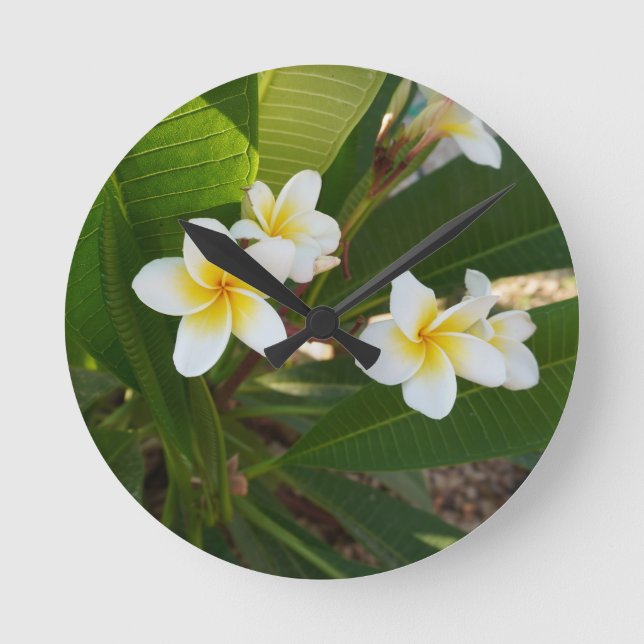 Fragrant Frangipani Flowers Rund Klocka (Framsida)