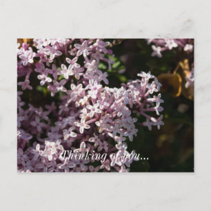 Fragrant Lilac- tanke på ditt vykort