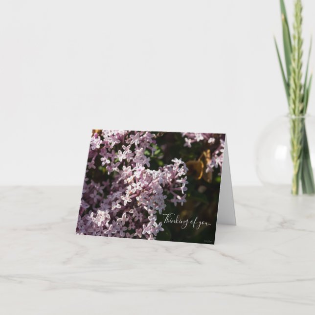 Fragrant Lilac Thinking Card Kort (Framsida)