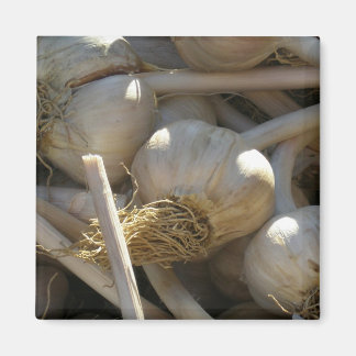 Fragrant utsökt i rått format magnet