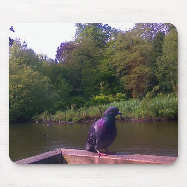 Frågvis duva musmatta (Framsidan)