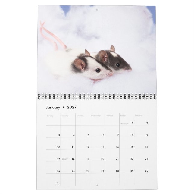 Frågvis Ratty kalender 2011 (Jan 2027)