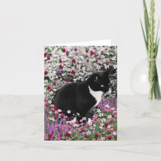 Fräknar i blommor II - smokingkattunge Kort