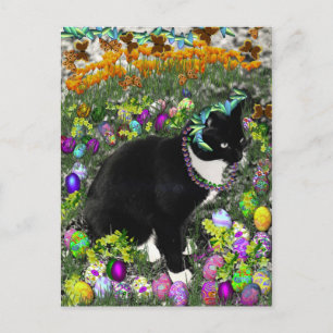 Fräknar i jakten för påskägg helg vykort