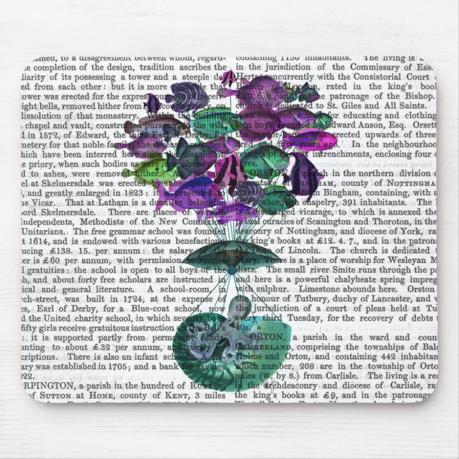 Frakt av Luftballongen Fisk Musmatta (Framsidan)