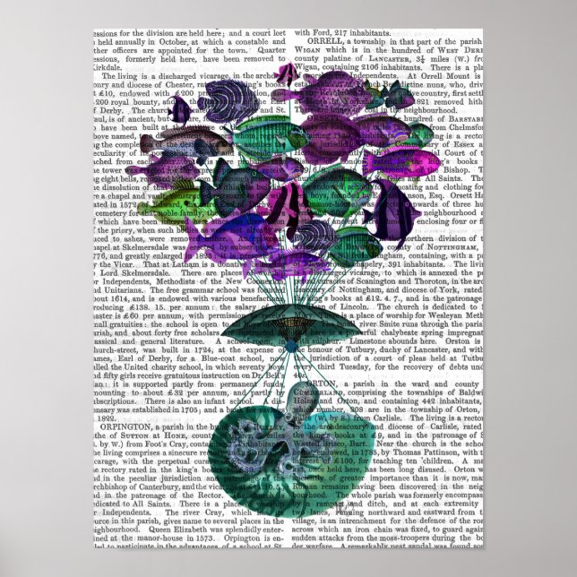 Frakt av Luftballongen Fisk Poster (Framsidan)