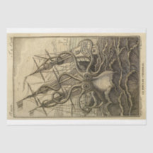 Frakt för avsvärtning av havsbottnen vid Ephemera