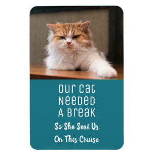 Frakt för rast av typen Funny Cat Photo Vacation C Magnet