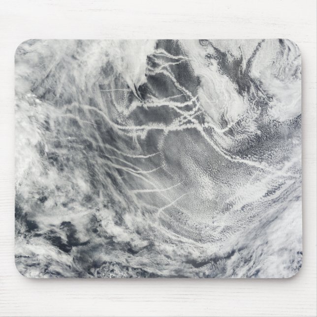 Frakt i Stillahavsområdet Musmatta (Framsidan)