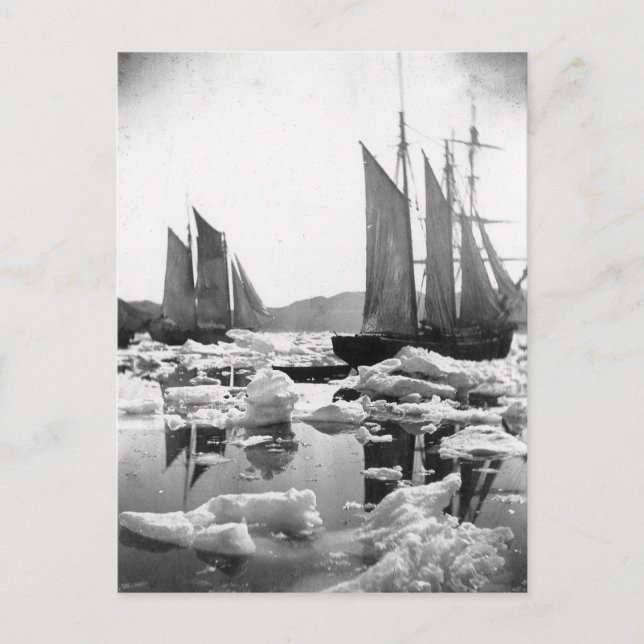 Fraktaser i ett isfoto Fält - 1869 Vykort (Framsida)