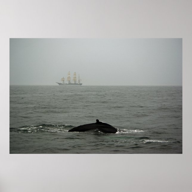 Frakten Humpback Whale och Tall Skriv ut Poster (Framsidan)