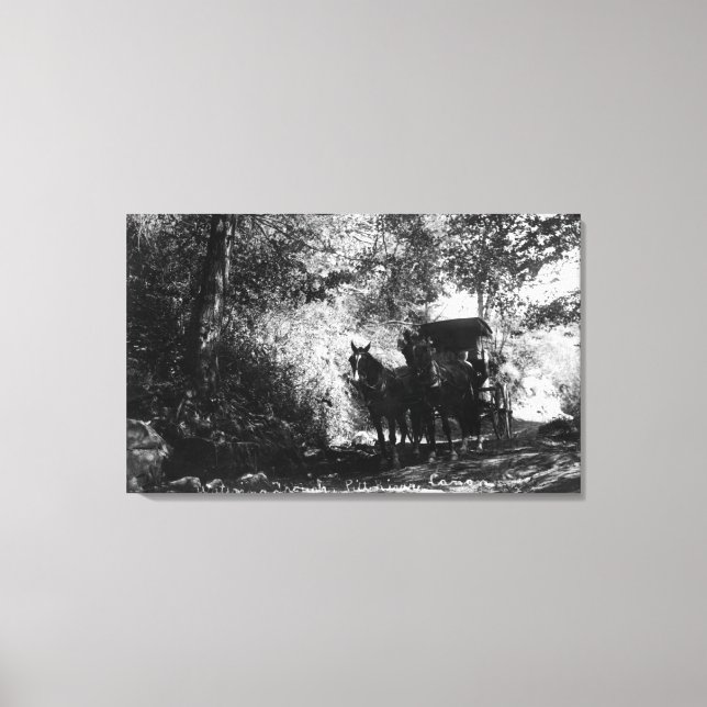 Frakthästar som tar ett brott canvastryck (Framsida)