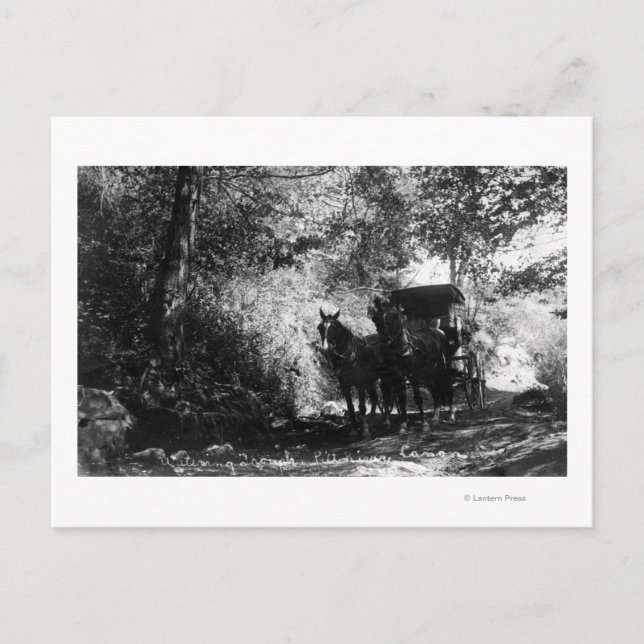 Frakthästar som tar ett brott vykort (Framsida)