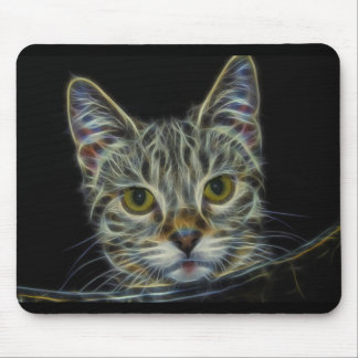 frakttal-681584 CAT DIGITAL FLAMES ART BAKGRUND W Musmatta