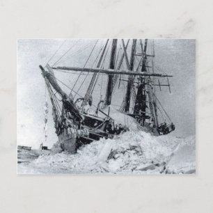 Fram Nansens frakt, i polar is Vykort