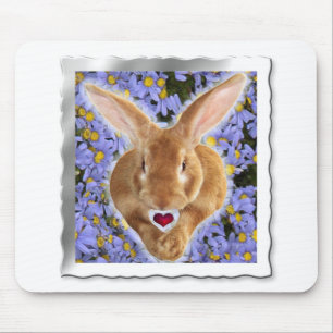 Framad, gynnsam bunny med Sweet Heart Musmatta