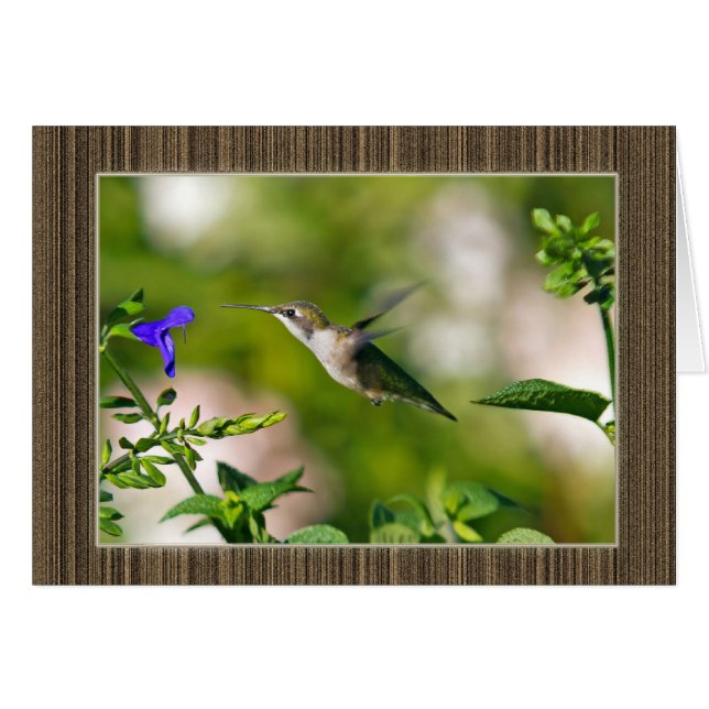 Framad Hummingbird Hälsningskort (Framsidan Horizontal)