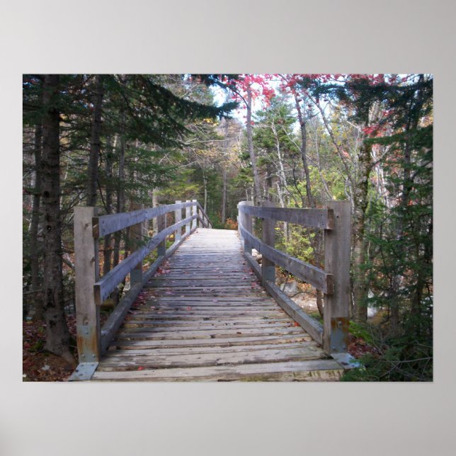 Framåt Maine Wood Bridge Poster (Framsidan)