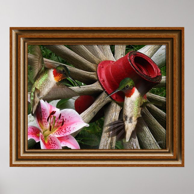 "Framed" Hummingbird Poster (Framsidan)