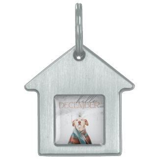 Framed Pet Tag ID-bricka Husdjur