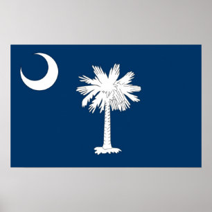 Framed print with Flagga of South Carolina, USA Poster