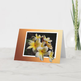 Framed Pulmeria Kort
