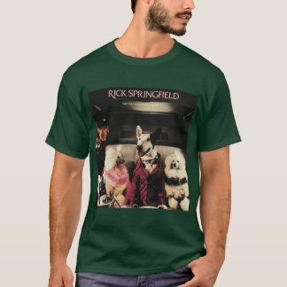 Framgång har inte skämt bort mig än kompis t shirt
