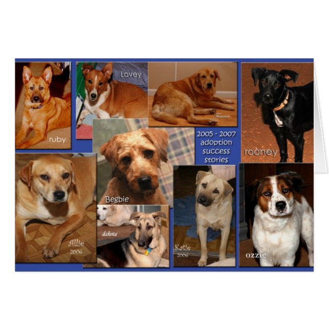 främja framgångshistorier2007 hälsningskort (Framsidan Horizontal)