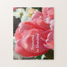 Främjat till mormodern förbryllar gravidmeddelande pussel