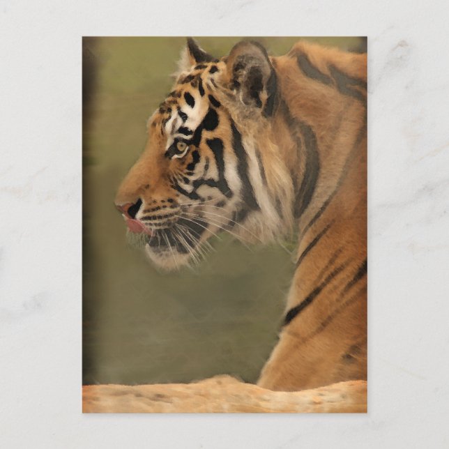 framkalla vykort (Framsida)