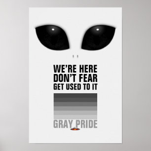 Främmande affisch för grå pride