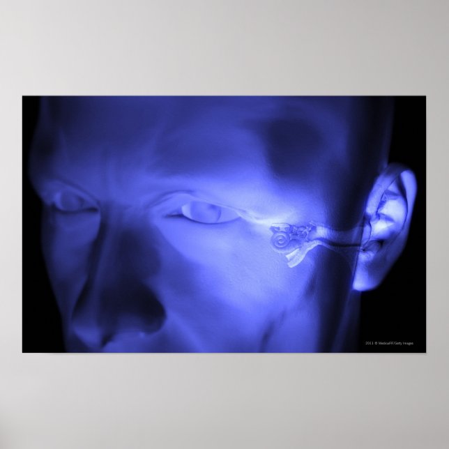 Framsida av innerörat poster (Framsidan)