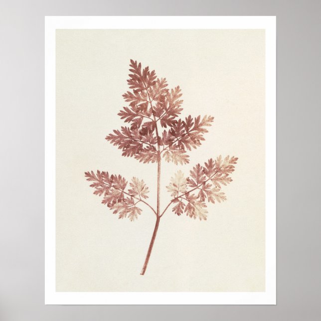 Framsida av Löv, 1843 (b/w bild) Poster (Framsidan)