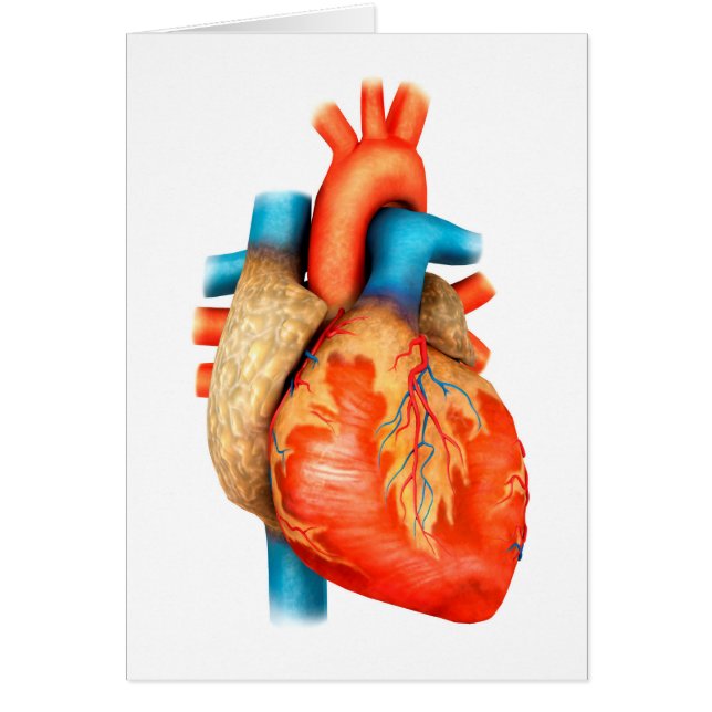 Framsida av mänskligt hjärta hälsningskort (Framsidan)